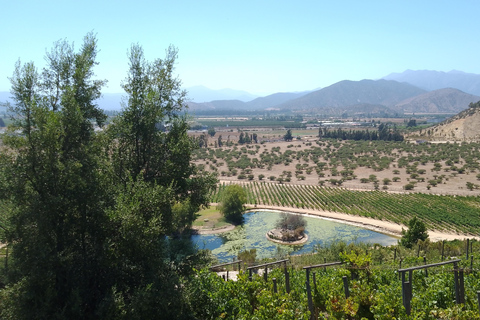 Wineries Tour in Casablanca Valley from Valparaiso Shared tour
