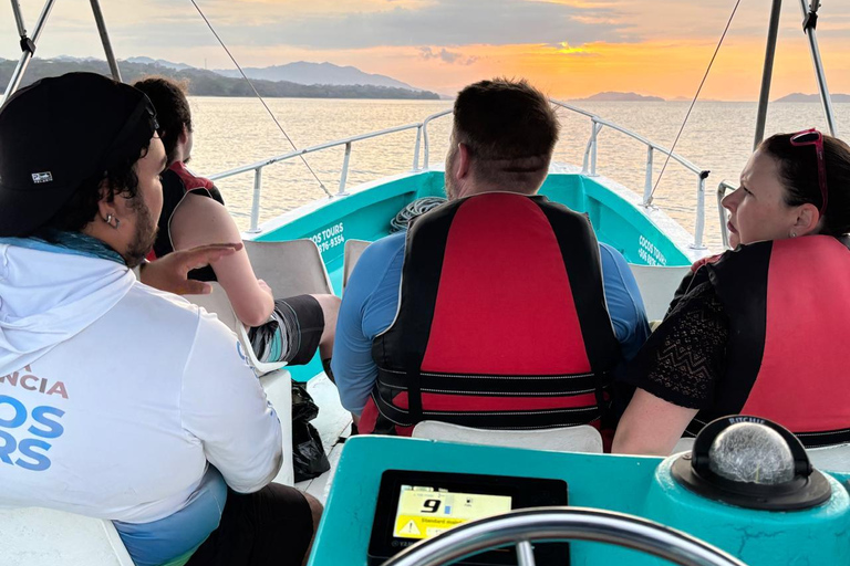 Bioluminescence, sunset, and wildlife sightseeing tour from Puntarenas