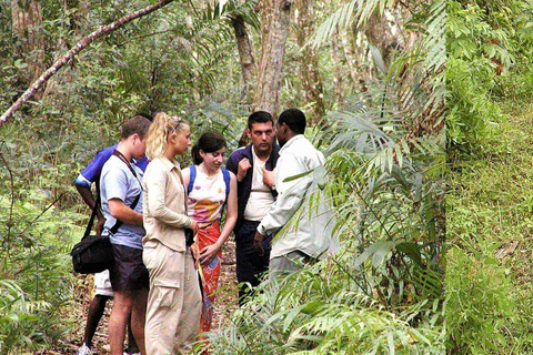 Zanzibar : la forêt de Jozani et la sérénité de la grotte SalamForêt de Jozani : Forêt de Jozani et sérénité à la grotte de Salam