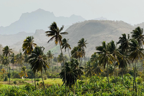 Poznaj największą plantację bananów na Cabo Verde