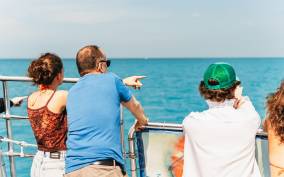 Key West: Dolphin Watching and Snorkeling Eco Cruise Tour