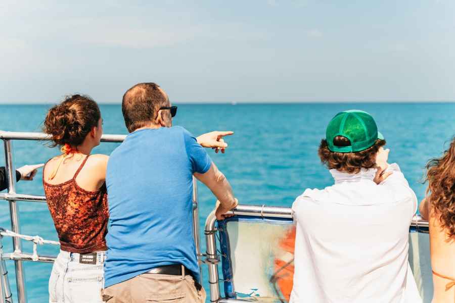 Key West: Suche nach Delfinen auf einer Kreuzfahrt mit Schnorcheln. Foto: GetYourGuide