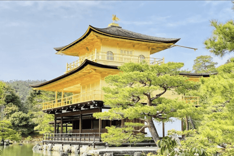 Tokyo: Kyoto Day Trip by Bullet Train with Licensed Guide