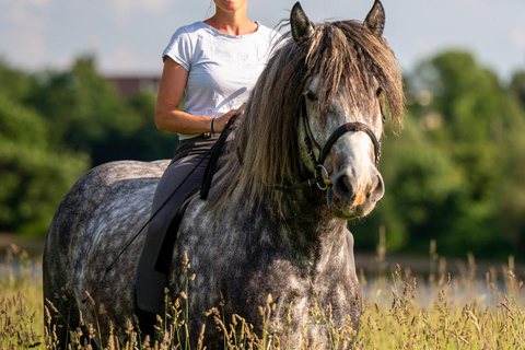 Edinburgh: Coastal Countryside Horse Riding Tour
