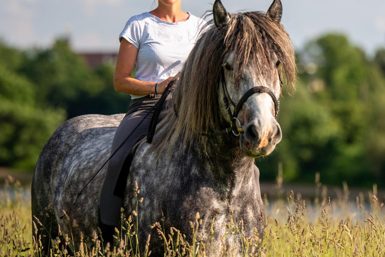Edinburgh: Coastal Countryside Horse Riding Tour