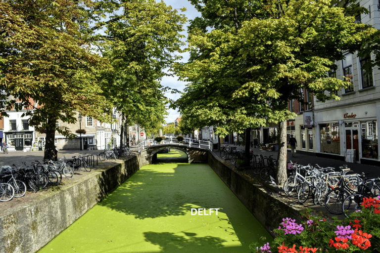 Visite à pied quotidienne de Rotterdam et Delft