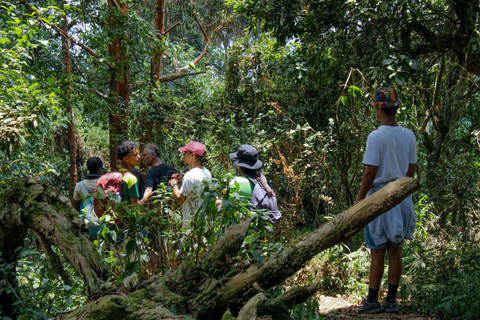 Kigali: Mount Jali Hike, City Tour, and Nightlife