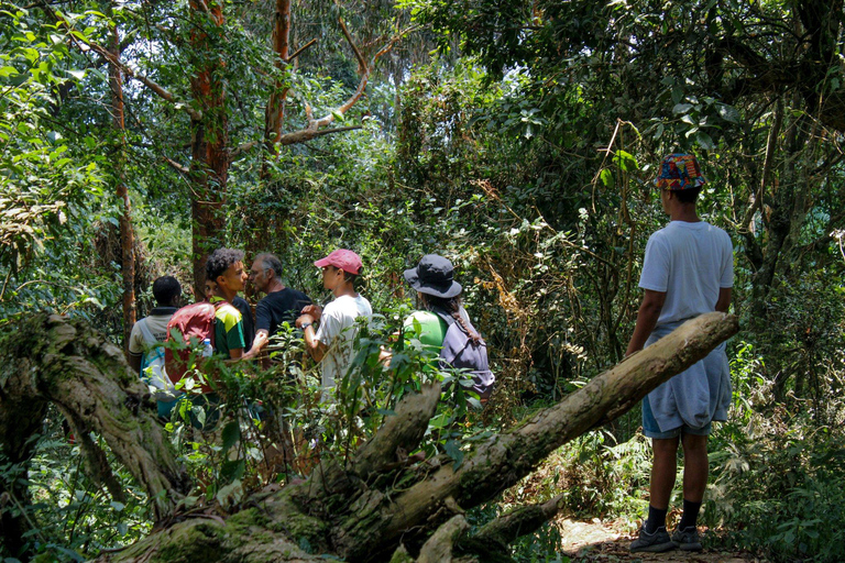 Kigali: Mount Jali Hike, City Tour, and Nightlife