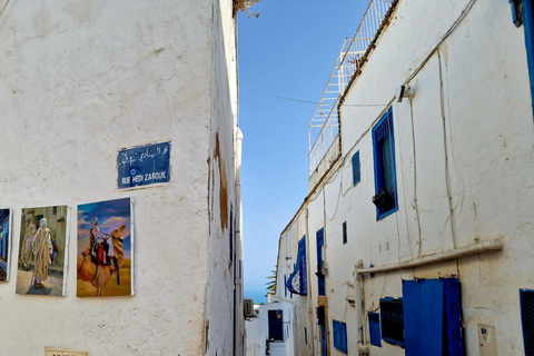 Excursión de un día a Cartago y Sidi Bou Said