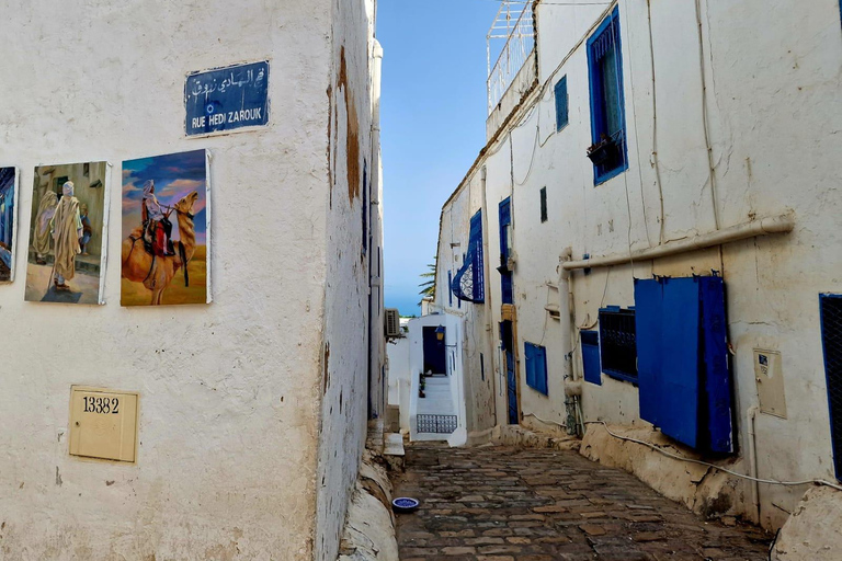 Excursión de un día a Cartago y Sidi Bou Said