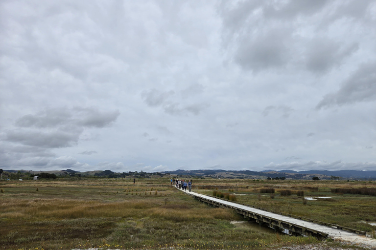 Auckland: Birdwatching, Hiking & Waterfalls Tour