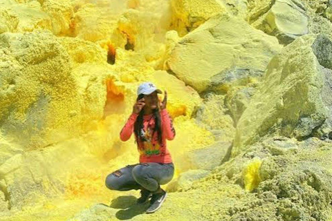 Santa Cruz and Isabela: 5-Day Sightseeing Tour with Pinzón, Tintoreras, and Sierra Negra