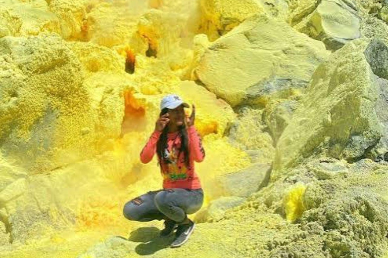 Santa Cruz and Isabela: 5-Day Sightseeing Tour with Pinzón, Tintoreras, and Sierra Negra