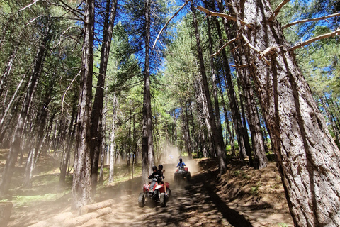 Etna volcano: Etna grand tour by quad bike with cave and lava flow visit