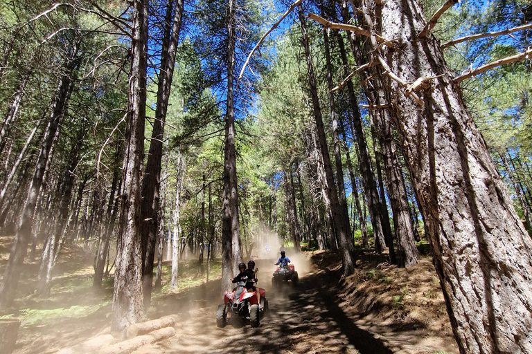 Vulkan Ätna: Ätna Grand Tour mit dem Quad mit Höhlenbesuch und Lavaströmen