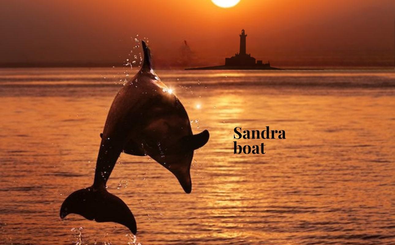 3-stündige Delfinbeobachtung bei Sonnenuntergang mit Getränken und Abendessen auf der „Sandra Boat“