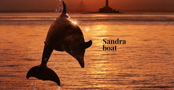 3 Stunden Delfinbeobachtung bei Sonnenuntergang mit unbegrenzten Getränken + Abendessen 3 Stunden Delfinbeobachtung bei Sonnenuntergang mit unbegrenzten Getränken + Abendessen