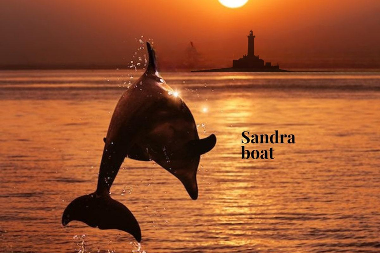 Medulin: 3h Ultra ALL-INCLUSIVE Sunset Dolphin Boat trip 3hours Dolphin Sunset watching with drinks+dinner sandraboat