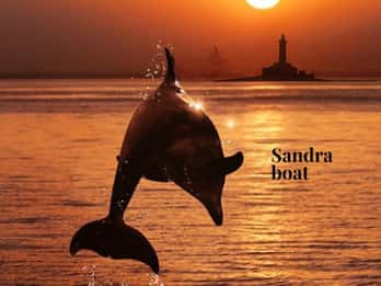 3hours Dolphin Sunset watching with unlimited drinks +dinner