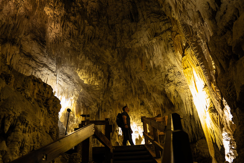 Vanuit Auckland: Waitomo Glimwormgrotten Tour met Transfer