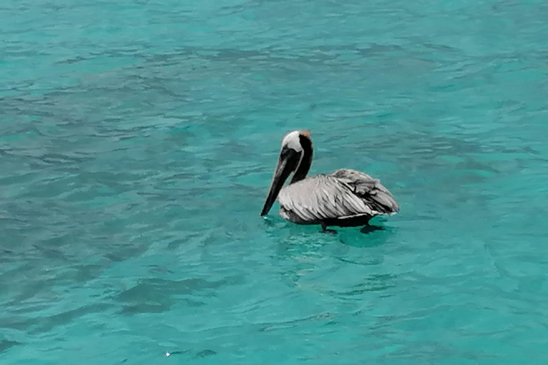 EXCURSIE*** (GRAND-CUL-DE-SAC-MARIN voeten in het water)