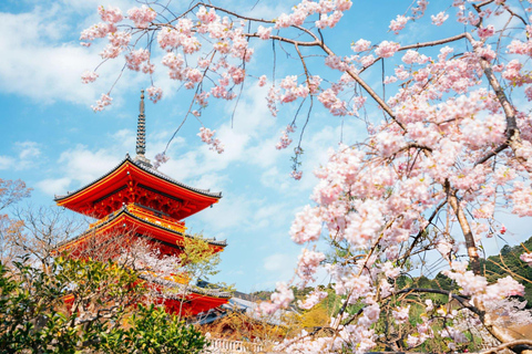 Best of Kyoto: Guided Full Day or Half-Day Tour with a Local Private: Guided Full Day Tour with a local