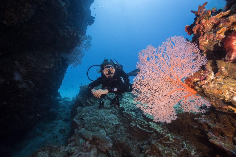 Cairns: 2-Day Great Barrier Reef Dive and Snorkel Boat Trip Private Cabin for 2 Passengers