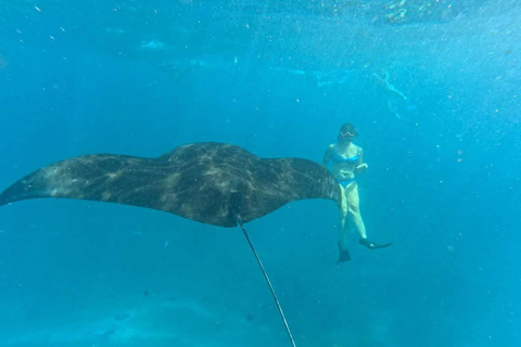 Nusa Penida: Manta Ray & Blue Coral Snorkeling Adventure