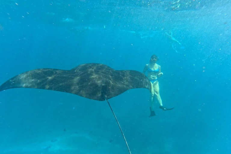 Nusa Penida: Manta Ray & Blue Coral Snorkeling Adventure
