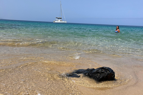 Lanzarote: Private Catamaran to Papagayo from Playa Blanca — 4 Hours Lanzarote: Cruise tour along the Papagayo Coast with Snacks & Activities