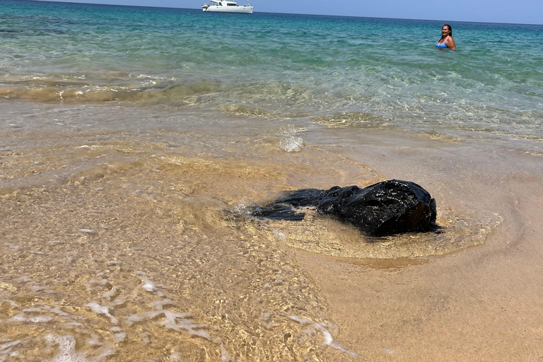 Lanzarote: Private Catamaran to Papagayo from Playa Blanca — 4 Hours Lanzarote: Cruise tour along the Papagayo Coast with Snacks & Activities