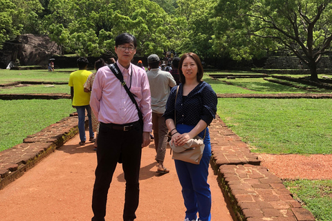 Tour privato di Sigiriya e Dambulla di un giorno interoTour partendo dalla zona di Negombo