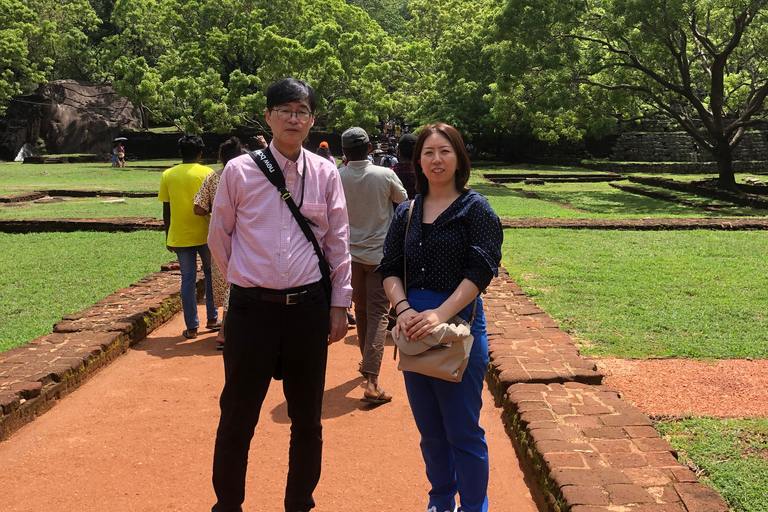 Sigiriya en Dambulla Privé Dagvullende TourTour vanuit het Negombo-gebied