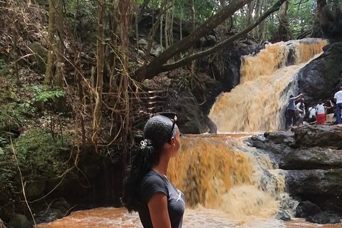 Nairobi: Karura Forest Tour (German-speaking)