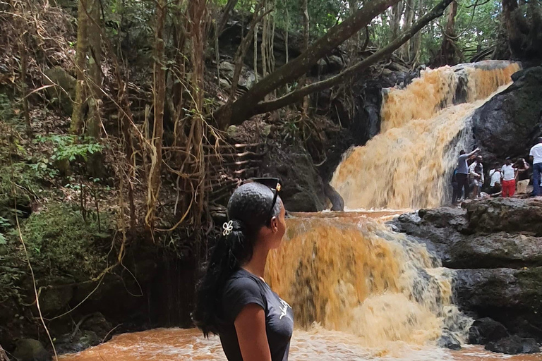 Nairobi: Karura Forest Tour (German-speaking)