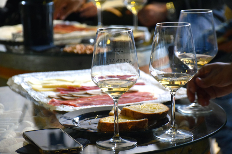 Tarragona: Wine Cathedral Tour Wine, Cava and Food Tasting