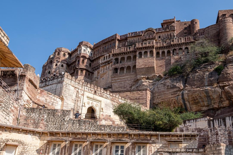 Jaipur: 8-daagse erfgoedtour door Rajasthan met vervoerJaipur: 8-daagse Rajasthan Heritage Tour met transfers