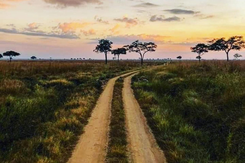 Arusza: 5-dniowe safari w Tanzanii w przystępnej cenie