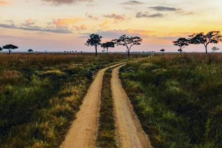 Arusza: 5-dniowe safari w Tanzanii w przystępnej cenie