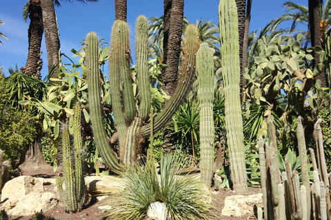 Z Alicante: Wycieczka do Narodowego Ogrodu Botanicznego