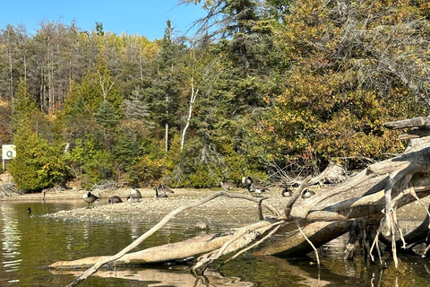 Excursion en kayak sur Island Lake depuis Toronto en RV - MotorhomeExcursion en kayak sur le lac Island au départ de Toronto en VR