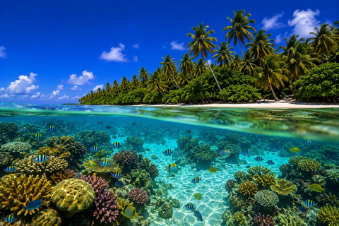 Bocas del Toro: Caribbean beach, sea and wildlife experience