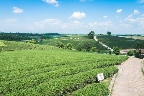 Chiang Rai: Private Customized Tour–3 Places of Your Choice