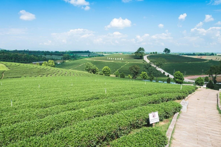 Chiang Rai: Private Customized Tour–3 Places of Your Choice