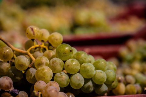 Santorini: Private Wine Tasting at Pagonis Estate Santorini Wine Tasting A Unique Experience of 10