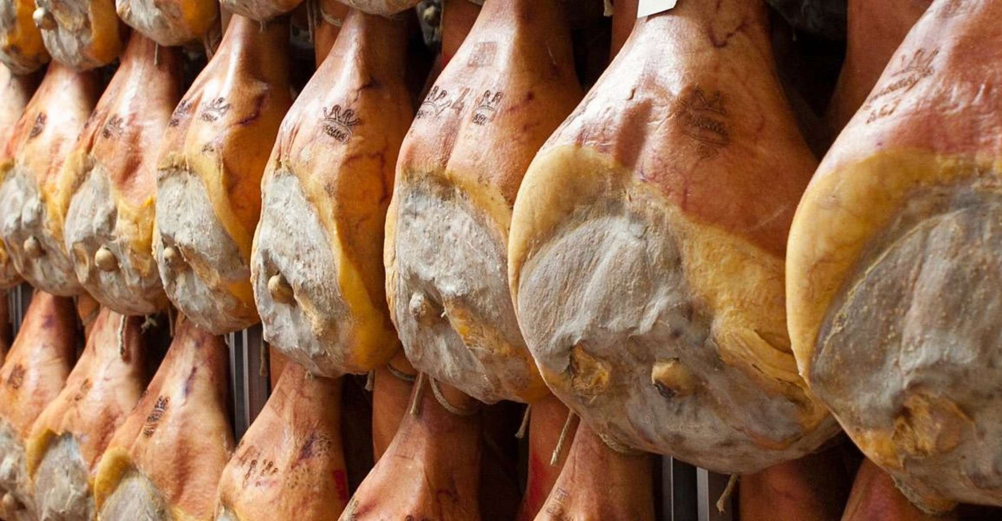 Parma, Parmigiano Production and Parma Ham Tour & Tasting - Housity