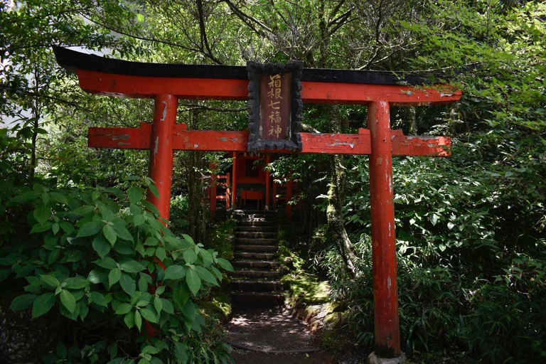 Private guided tour of Tokyo and surrounding area with English-speaking guide