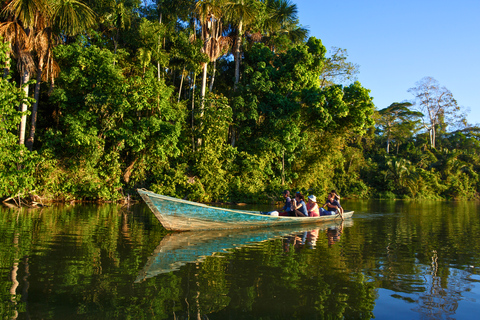 Puerto Maldonado: 4-Day Tambopata Amazon Photography Tour