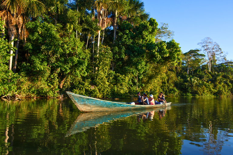 Puerto Maldonado: 4-Day Tambopata Amazon Photography Tour