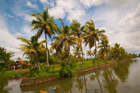 Excursion d'une journée à Alleppey avec expériences dans les backwaters